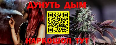 индика Краснознаменск