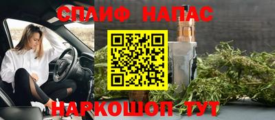индика Краснознаменск