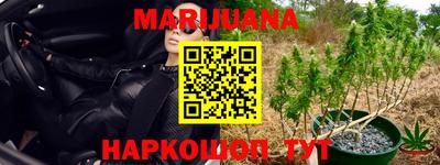 индика Краснознаменск