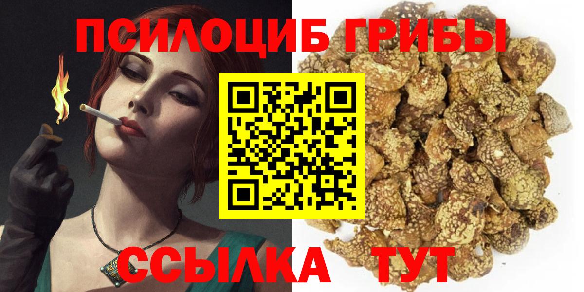 Рыбинск  Галлюциногенные грибы Magic Shrooms  Вход с VPN  Галлюциногенные грибы Magic Shrooms 