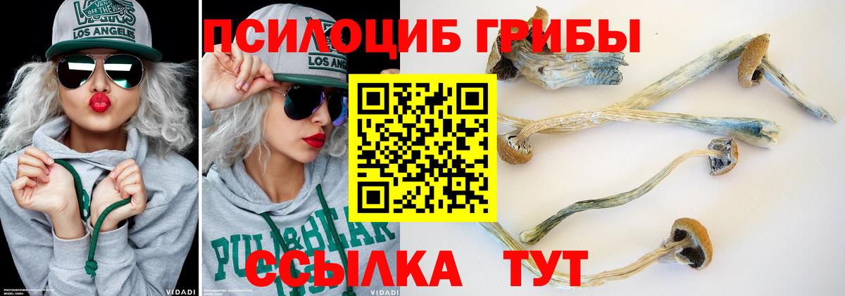 Галлюциногенные грибы ЛСД Рыбинск